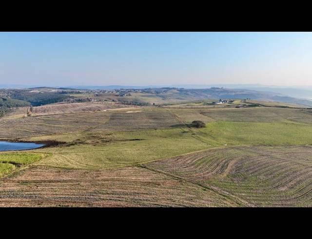 LAND FOR SALE IN MOUNT VERDE